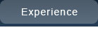 experience